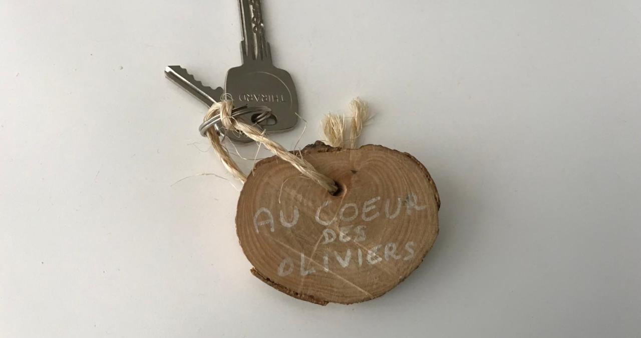 D Hotes Au Coeur Des Oliviers * Marsiglia