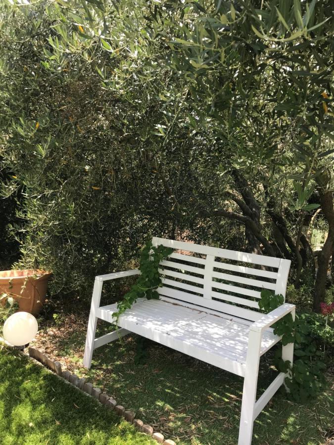 D Hotes Au Coeur Des Oliviers Homestay *