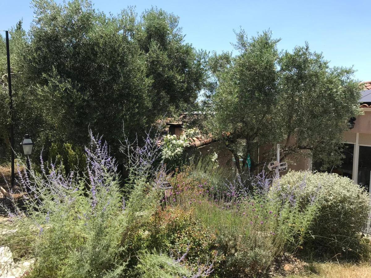 D Hotes Au Coeur Des Oliviers Homestay Marseille