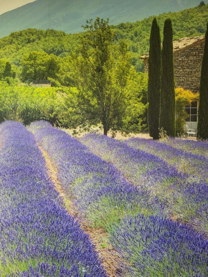 Homestay D Hotes Au Coeur Des Oliviers