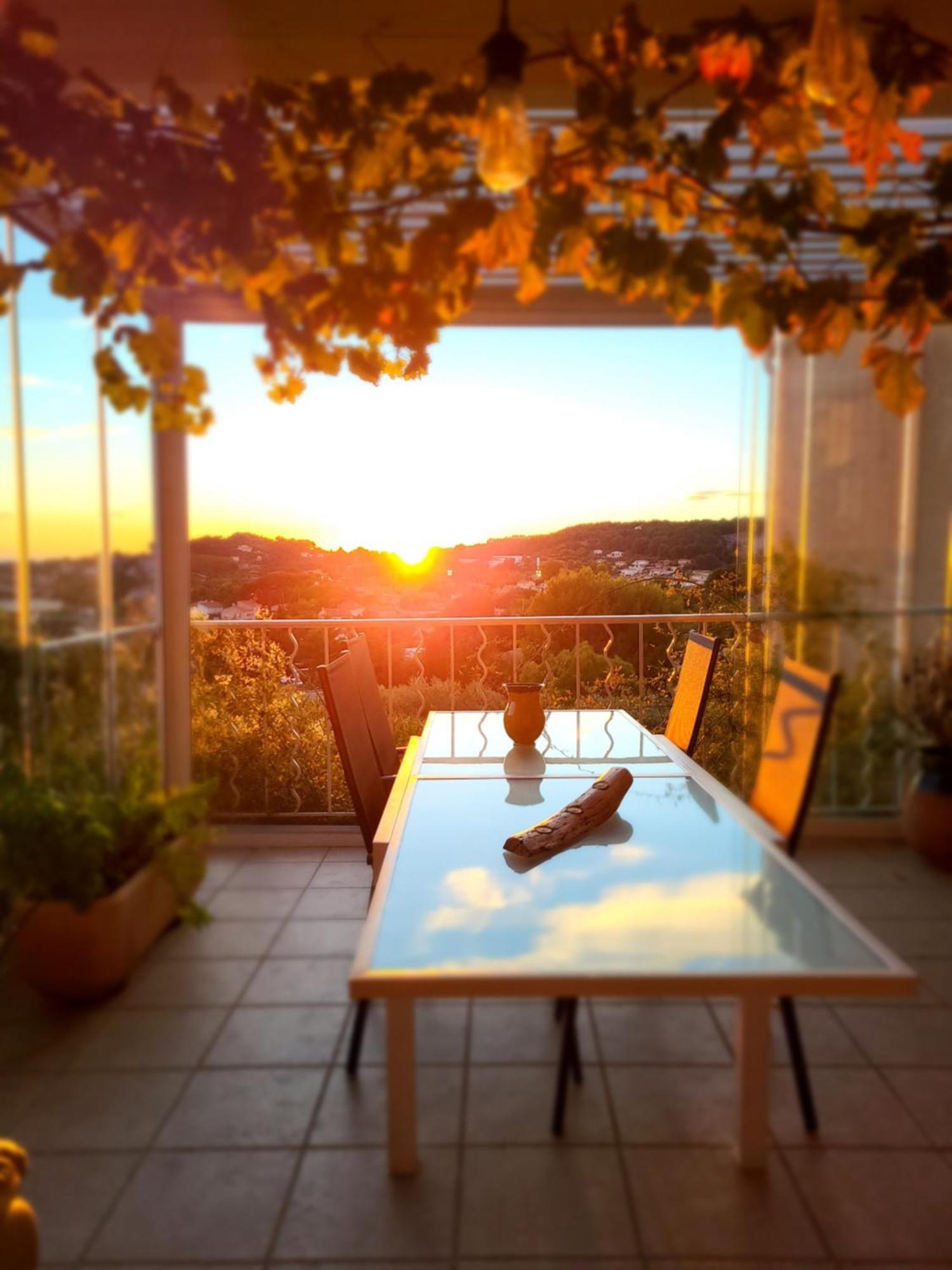 Homestay D Hotes Au Coeur Des Oliviers Marseille